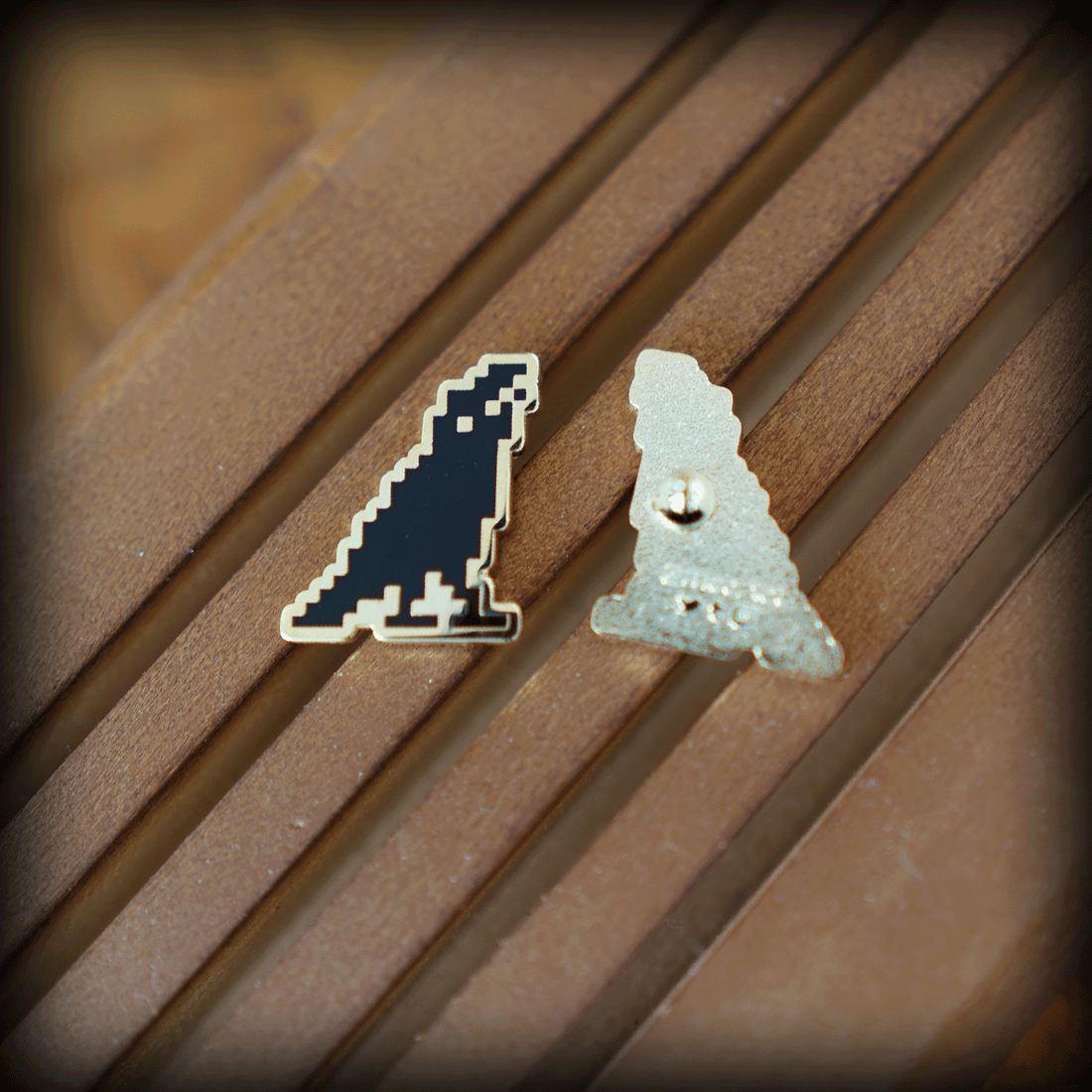 Crow Pin • Look Up