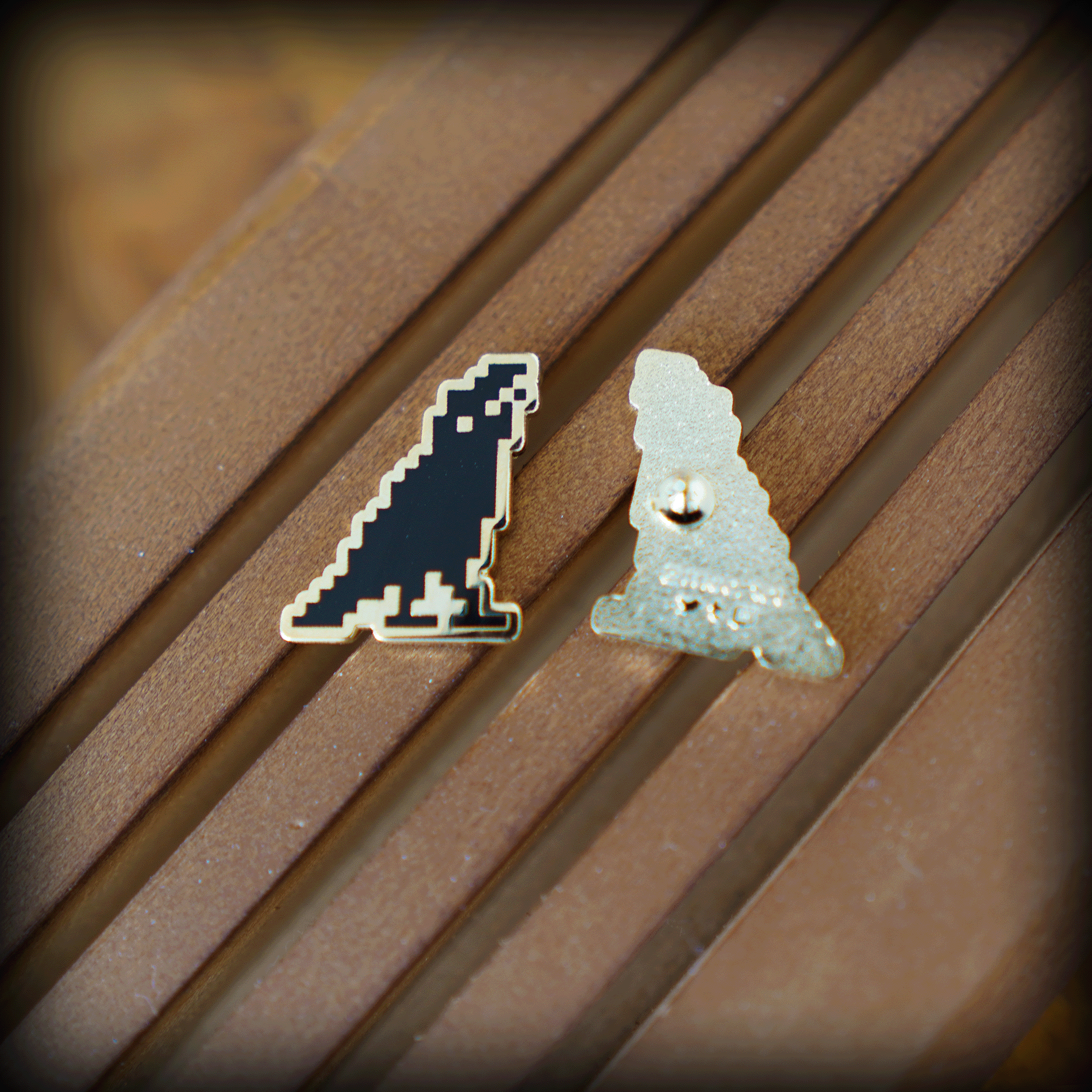 Crow Pin • Look Up