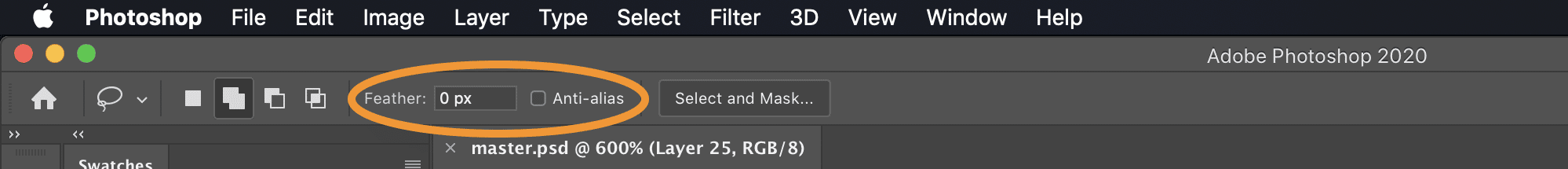 The lasso tool will make a fuzzy selection by default. Set "Feather" to 0px and untick the "Anti-alias" checkbox to get a pixel-perfect selection.